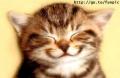 Avatar de -j�L&@N-