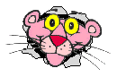 Avatar de >PANTERITA ROSA<