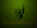 Avatar de guasabro