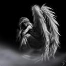 Avatar de Don_Ra