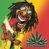 Avatar de jegutier