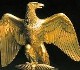 aguila cazadora