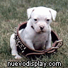 Avatar de oxkar