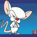 Avatar de MILTONCART