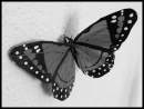 Avatar de nlin0220