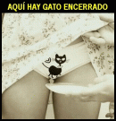 Avatar de HorusScorpio