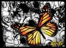 Avatar de afrika86