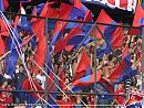 Avatar de la bandola