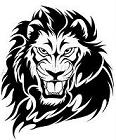 Avatar de MaxPlacer