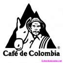 Avatar de julian yamit