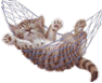 Avatar de Aracielo