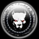 Avatar de KILLER PITBULL