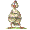 Avatar de arejandero