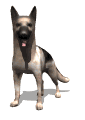 Avatar de TRAINER OF DOGS