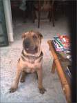 Avatar de jjcm80