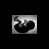 Avatar de Ayudante De Santa