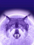 Avatar de Wolf_Great