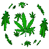 Avatar de Toxicrownd