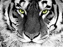 Avatar de PIPE18