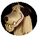 Avatar de poseidon099