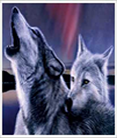 Avatar de wolfnightwalker