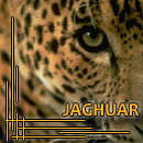 Avatar de jaghuar