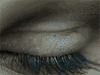 Avatar de XXX_USER_XXX