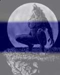 Avatar de modem
