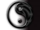 Avatar de yinyang63