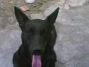Avatar de roflocot