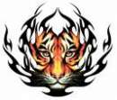 Avatar de KMX
