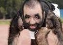 Avatar de lobin