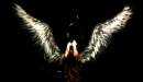 Avatar de eaglehawk