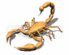Avatar de Zcorpion