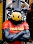 Avatar de Toro Loco