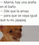 Avatar de jeyamo26
