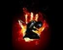 Avatar de evaristico