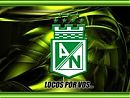 Avatar de LUISITO