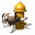 Avatar de oskrestrella