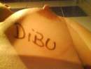 Avatar de dibu_cr