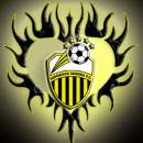 Avatar de elk1