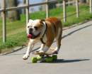 Avatar de alejo-skate