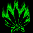 Avatar de Pat06