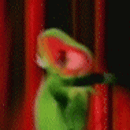 Avatar de evilkraken