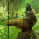 Avatar de danialmansa
