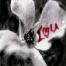 Avatar de sofk88