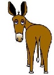 Avatar de MaestroEl_Burro