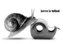 Avatar de Caracol11