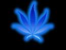 Avatar de j_albert
