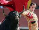Avatar de Taurino495